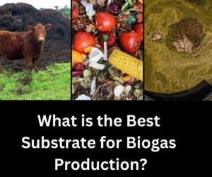 What Is The Best Substrate For Biogas Production